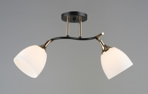 Люстра QH N6090/2 CF+FG