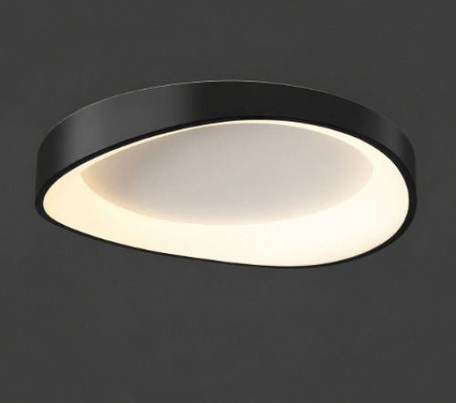 Lampă de tavan JL-MK6207-400 WH+BK 48W DIM+RC ALB