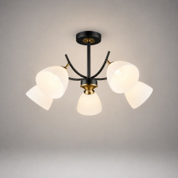 Lustre cu plafoane din sticla