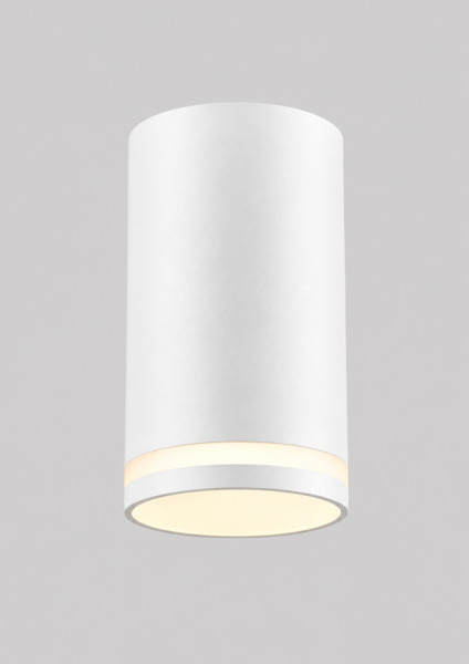 Spot DC SY7749 WH RD surface D55*H100mm