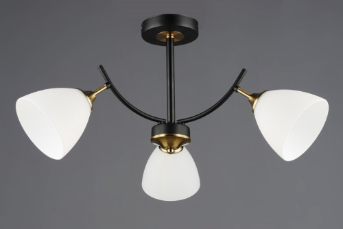Lustra QH N6602/3 BK+COP