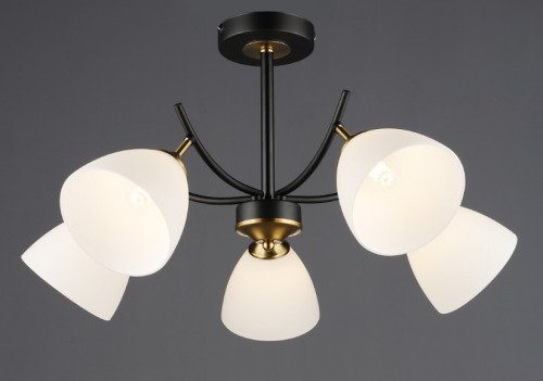 Lustra QH N6602/5 BK+COP