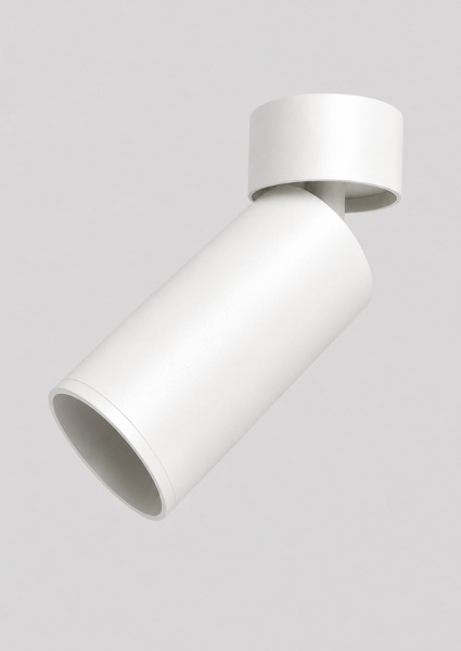Spot CH ZD55110 WH round surface D55*H127mm